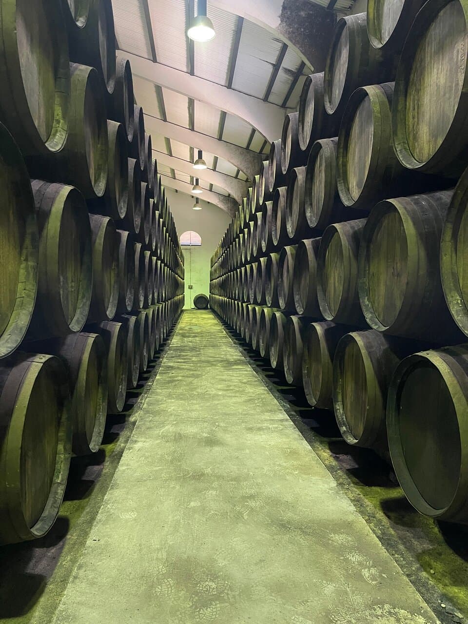 Bodegas Delgado Zuleta