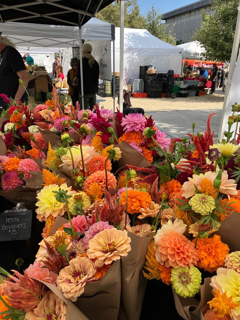 Stunning flowers! 