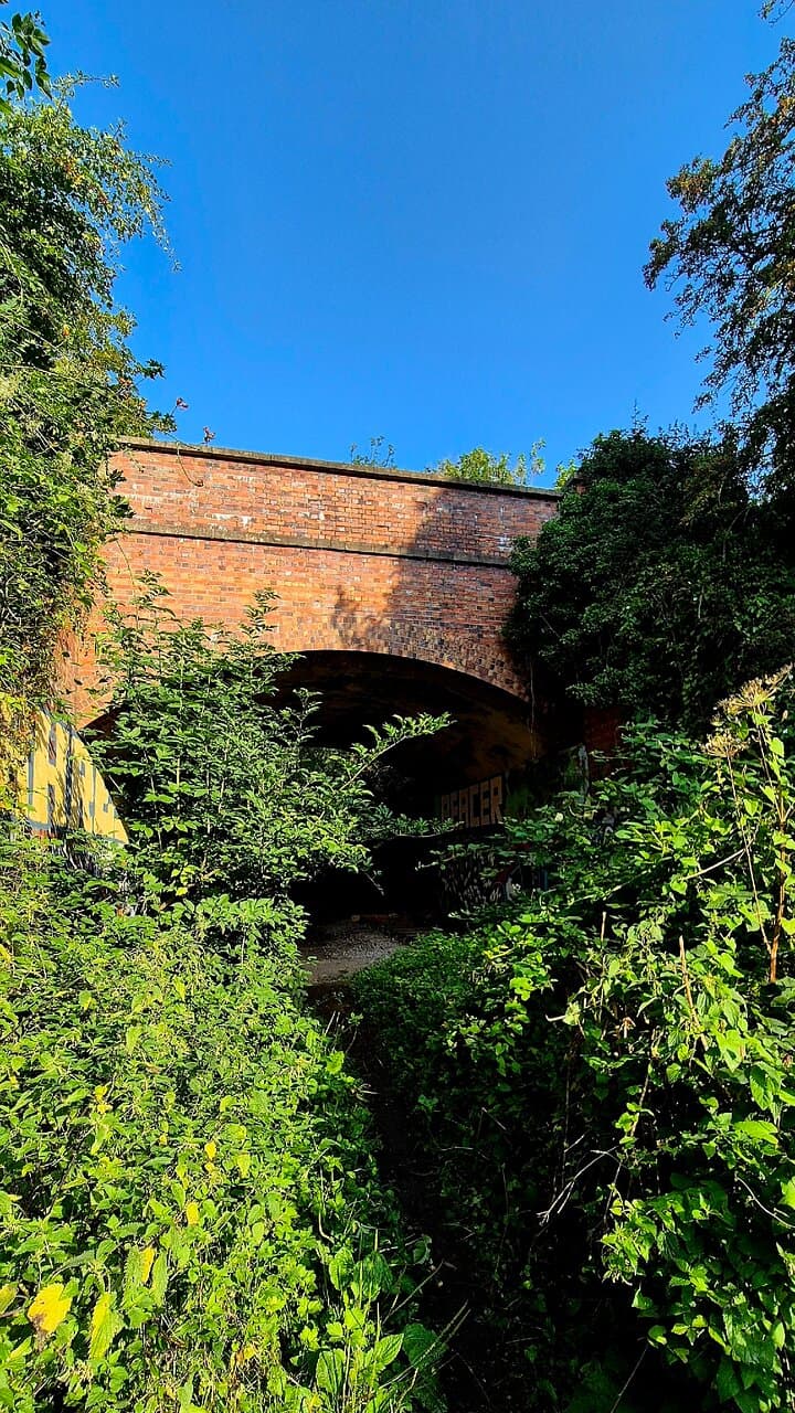 Just a tranquil, cooling walk-through of nature. To absorb the sounds, smells, and sights of this little natural oasis.