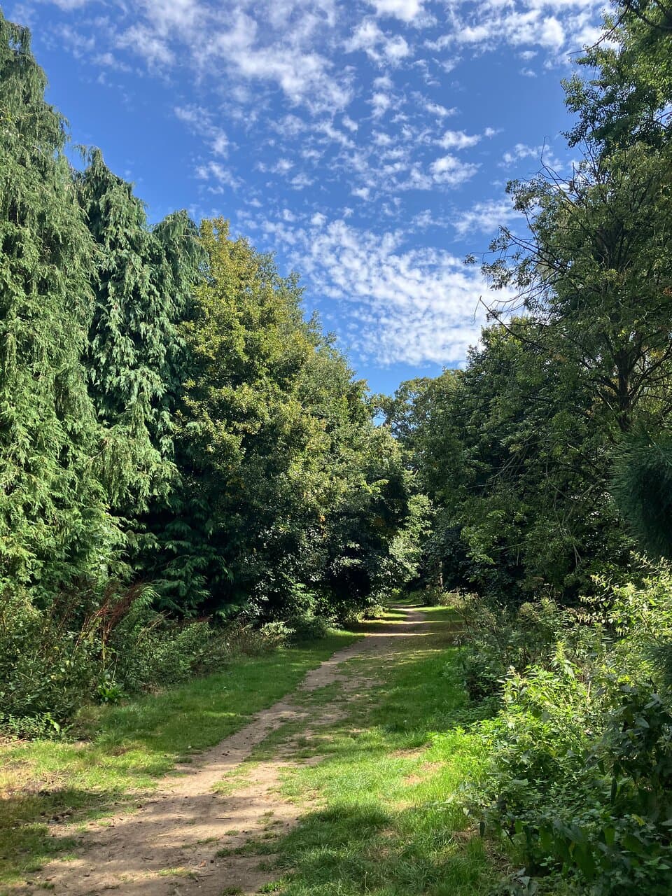 6.  Camer Park, Meopham, Kent (August 2024)