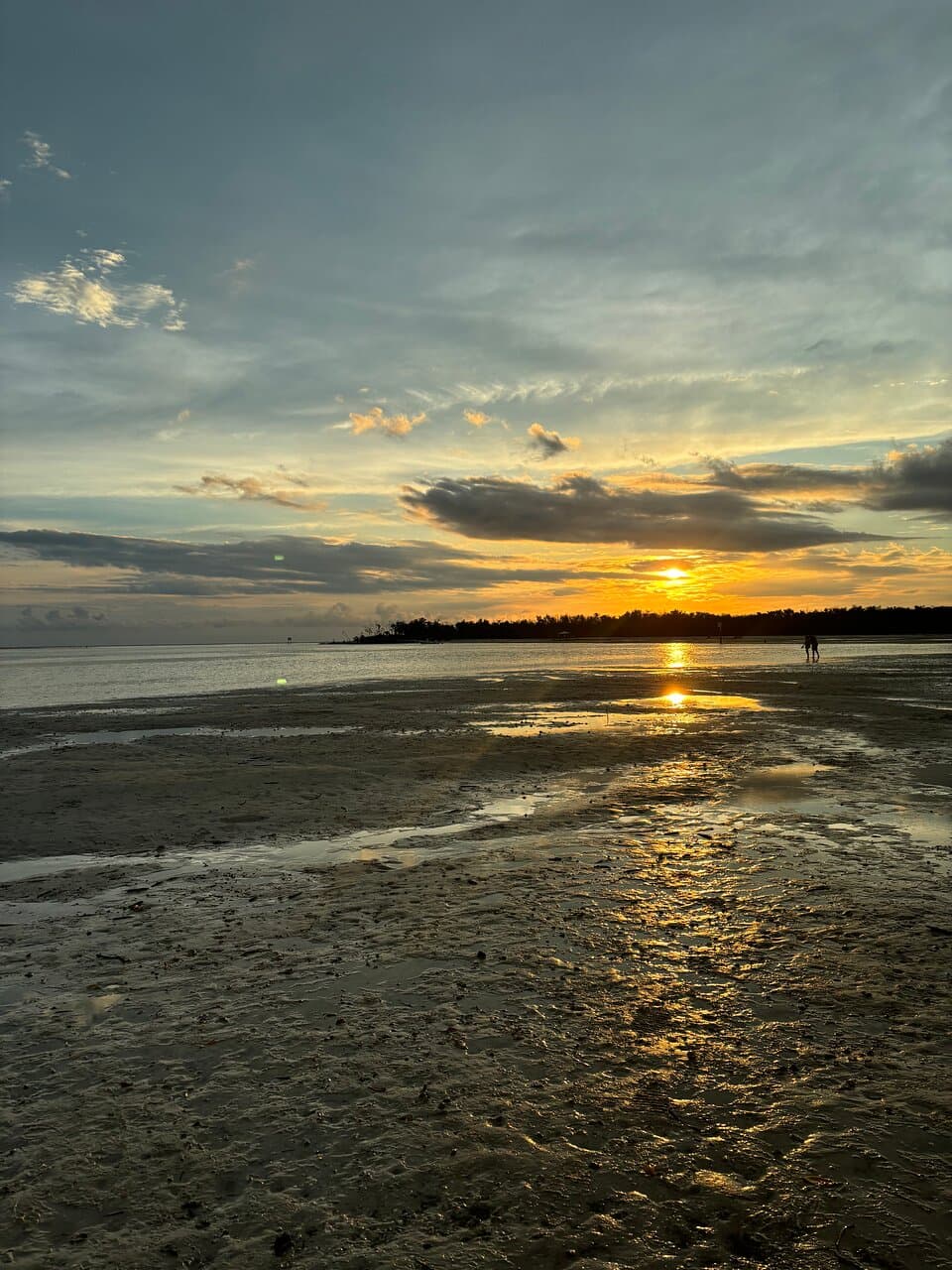 Dog Beach Park