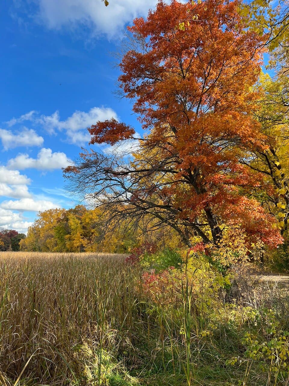 Lowry Nature Center