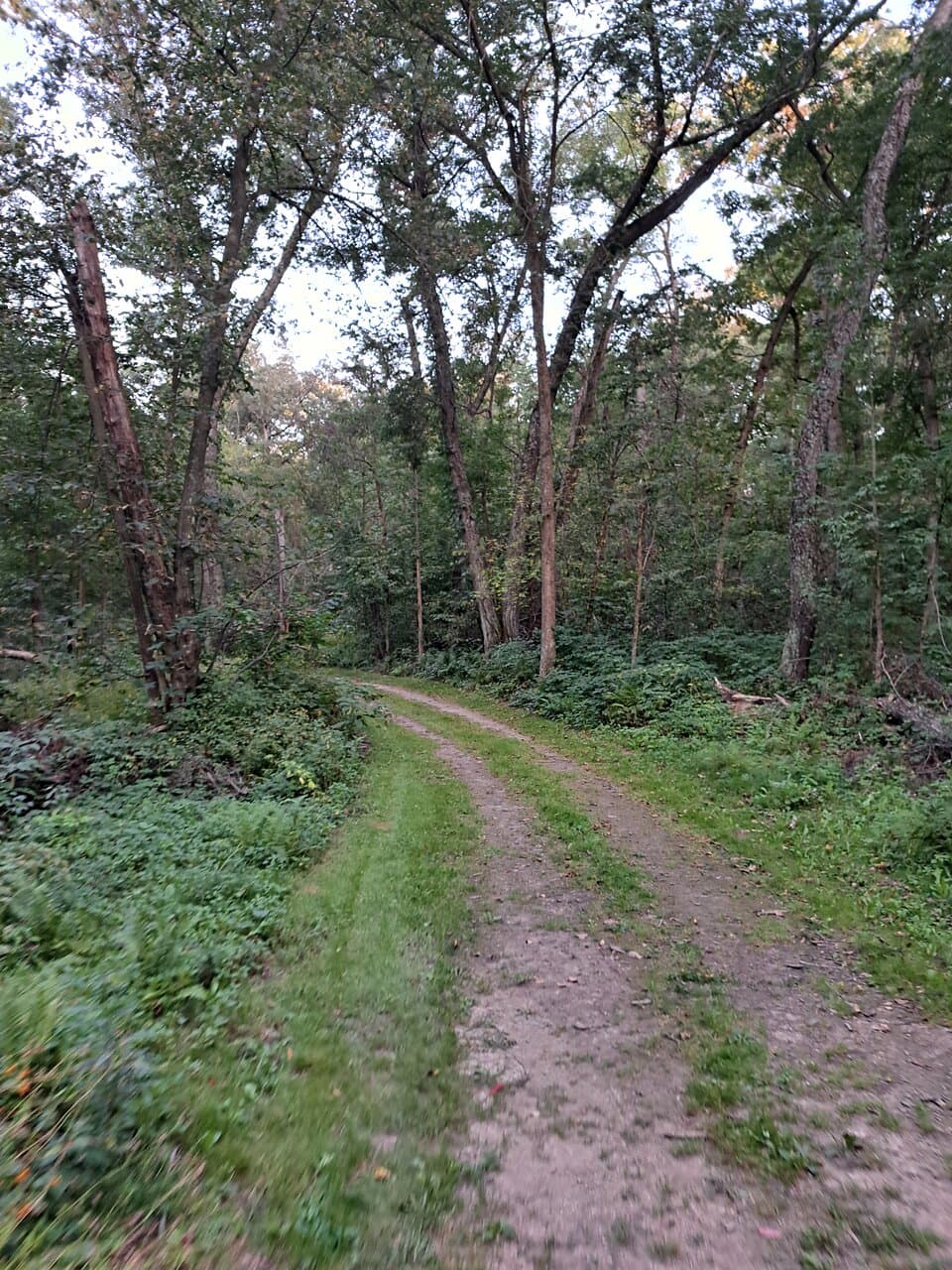 Donald County Park