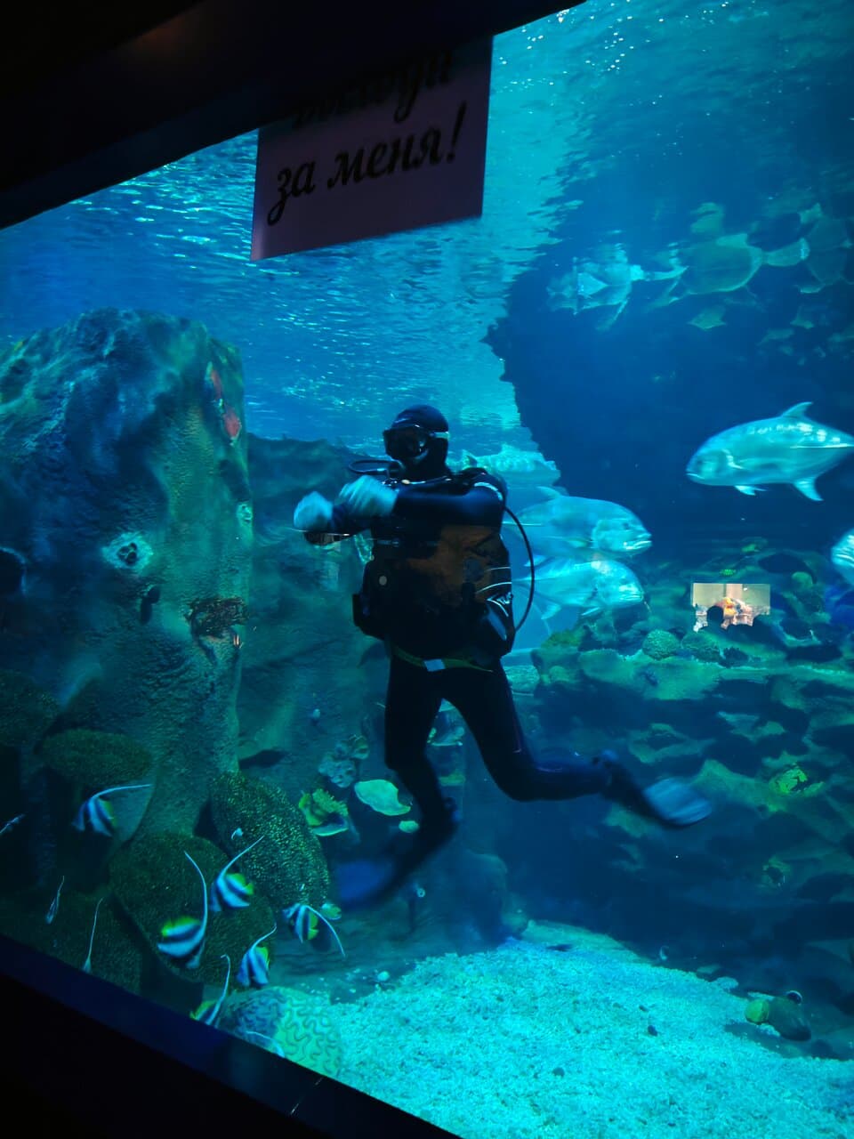 Duman Oceanarium