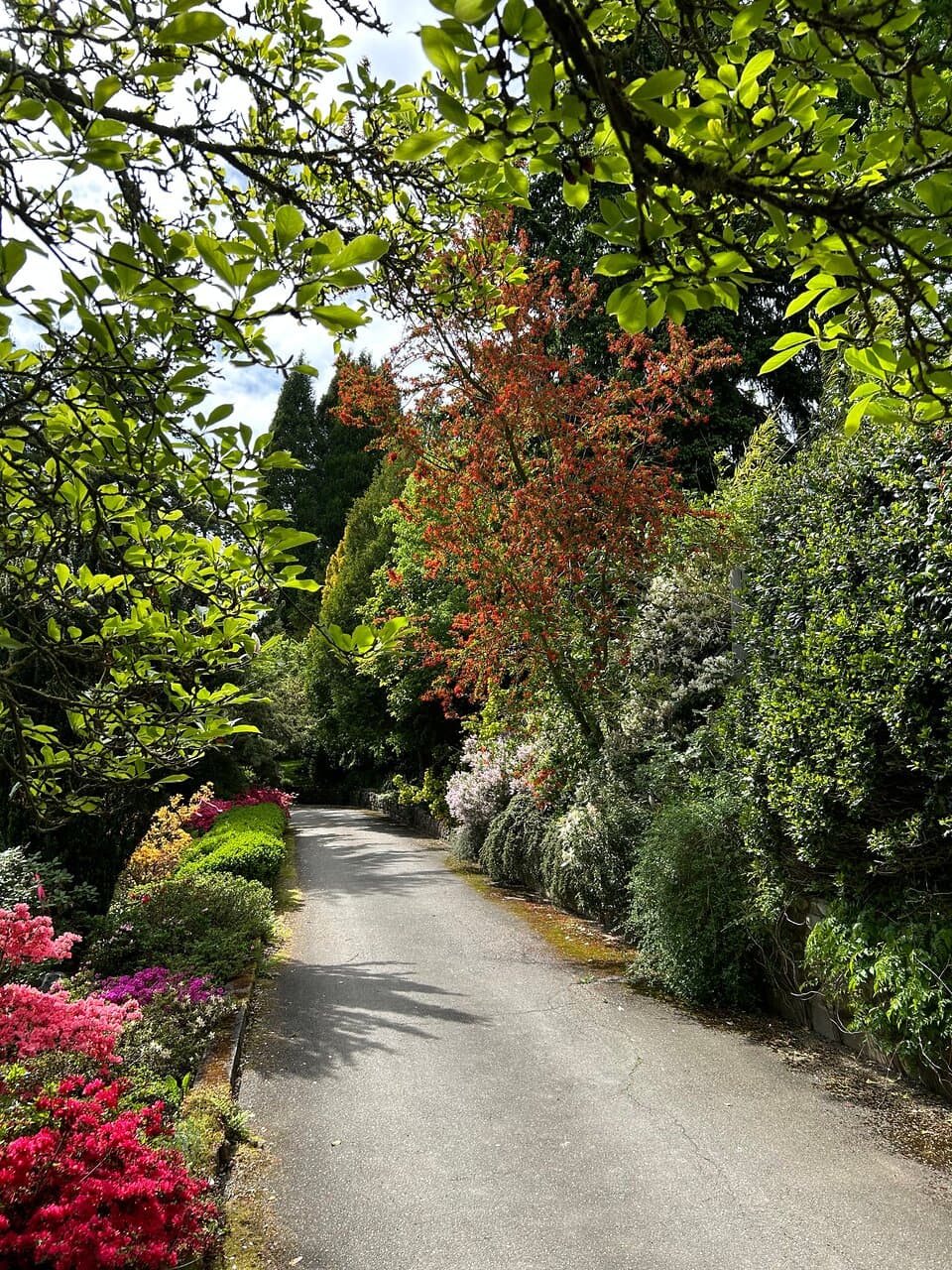 Darts Hill Garden Park