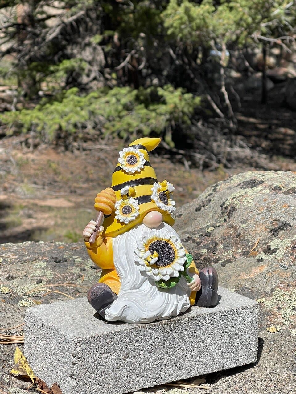 We accidentally found ‘Gnome Road’ and it was fantastic! What a beautiful place Red Feather Lake is, and this was absolutely the cherry! May You Live with Ease 🧘🏽🙏