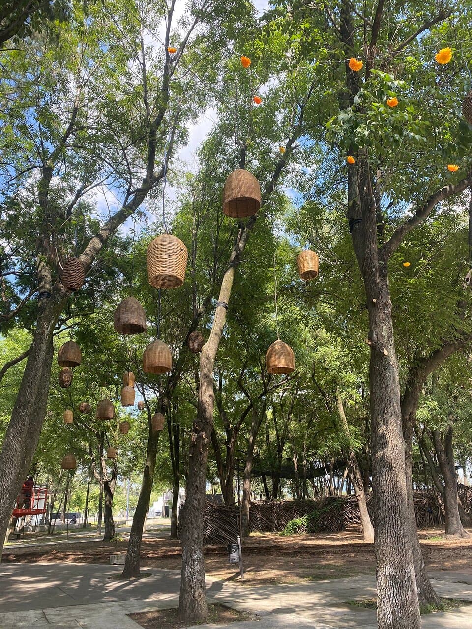 Sweet photos September 2024