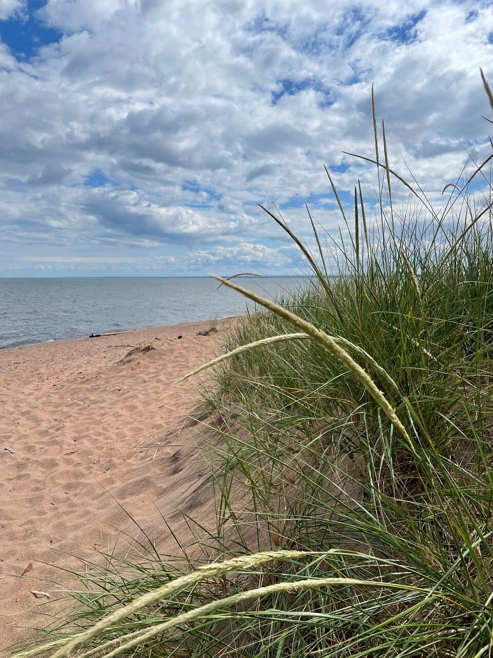 view at beach