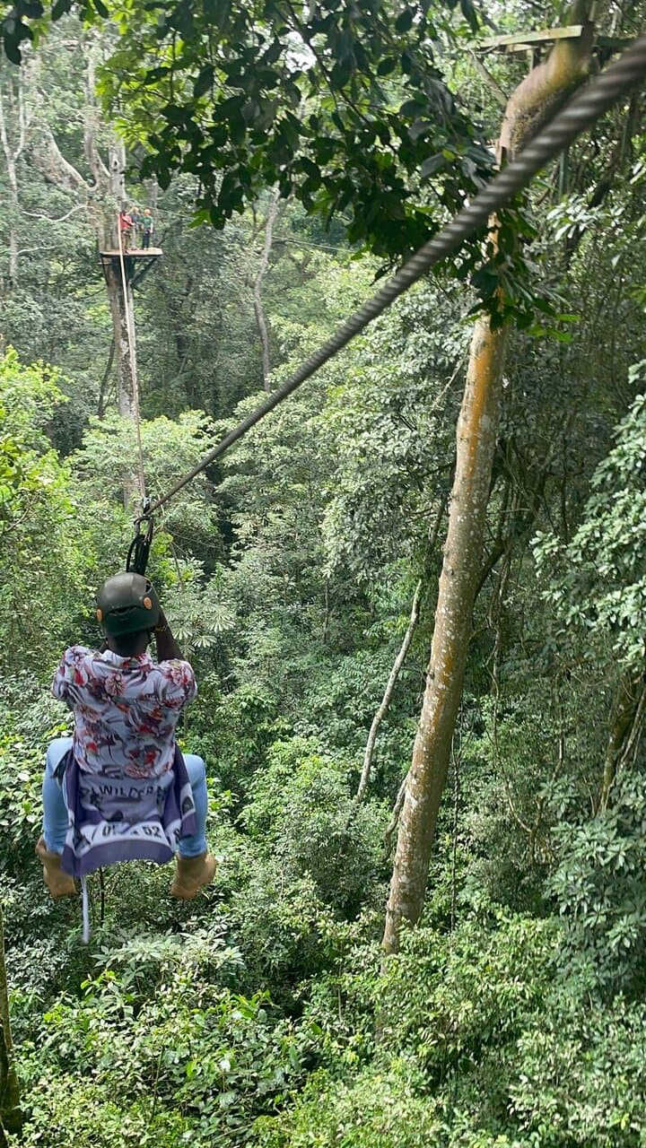 Maâmora Forest