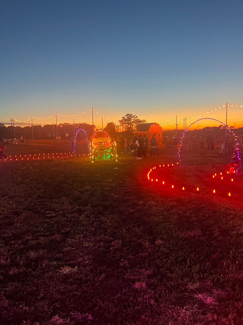 Denver Downs Farm