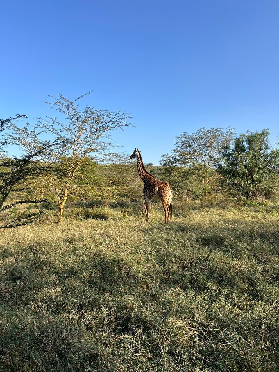 Oserengoni Wildlife Sanctuary