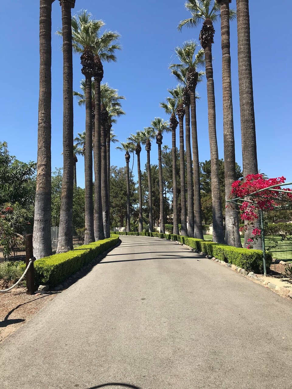 Irvine Ranch Historic Park