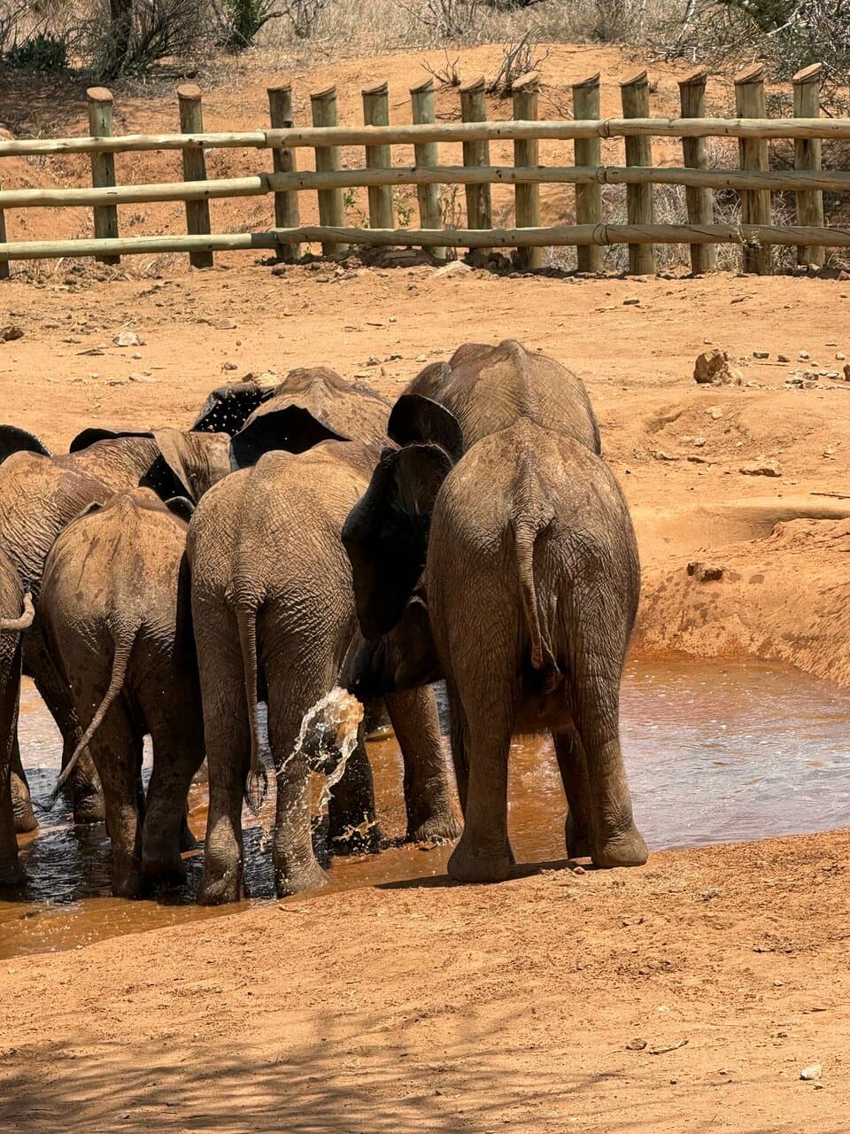 Reteti Area Samburu National Reserve
