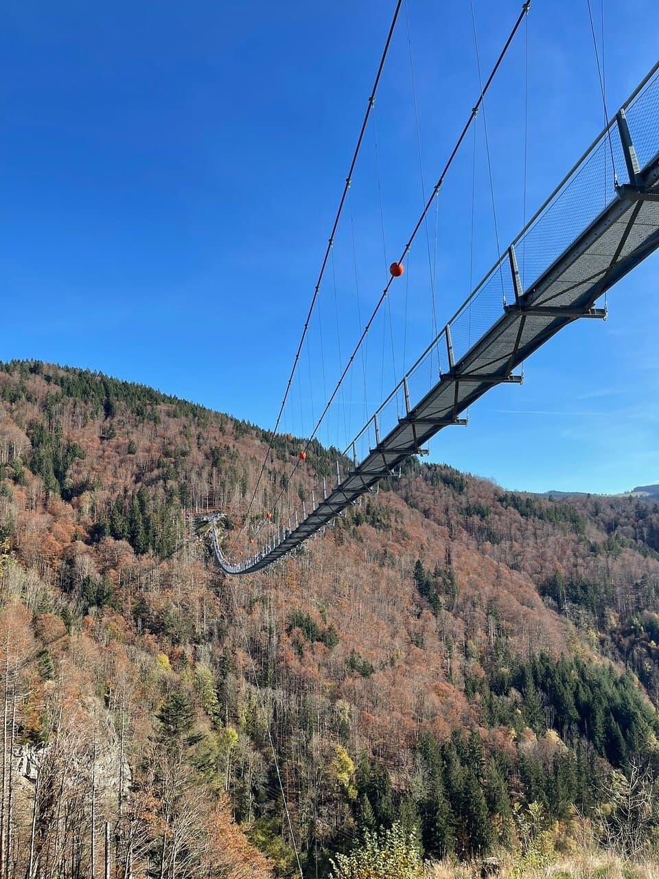 Stübenwasen Summit Black Forest Germany