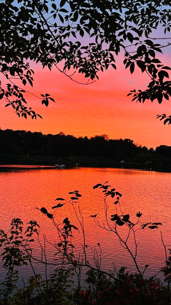Pungam Lake Park