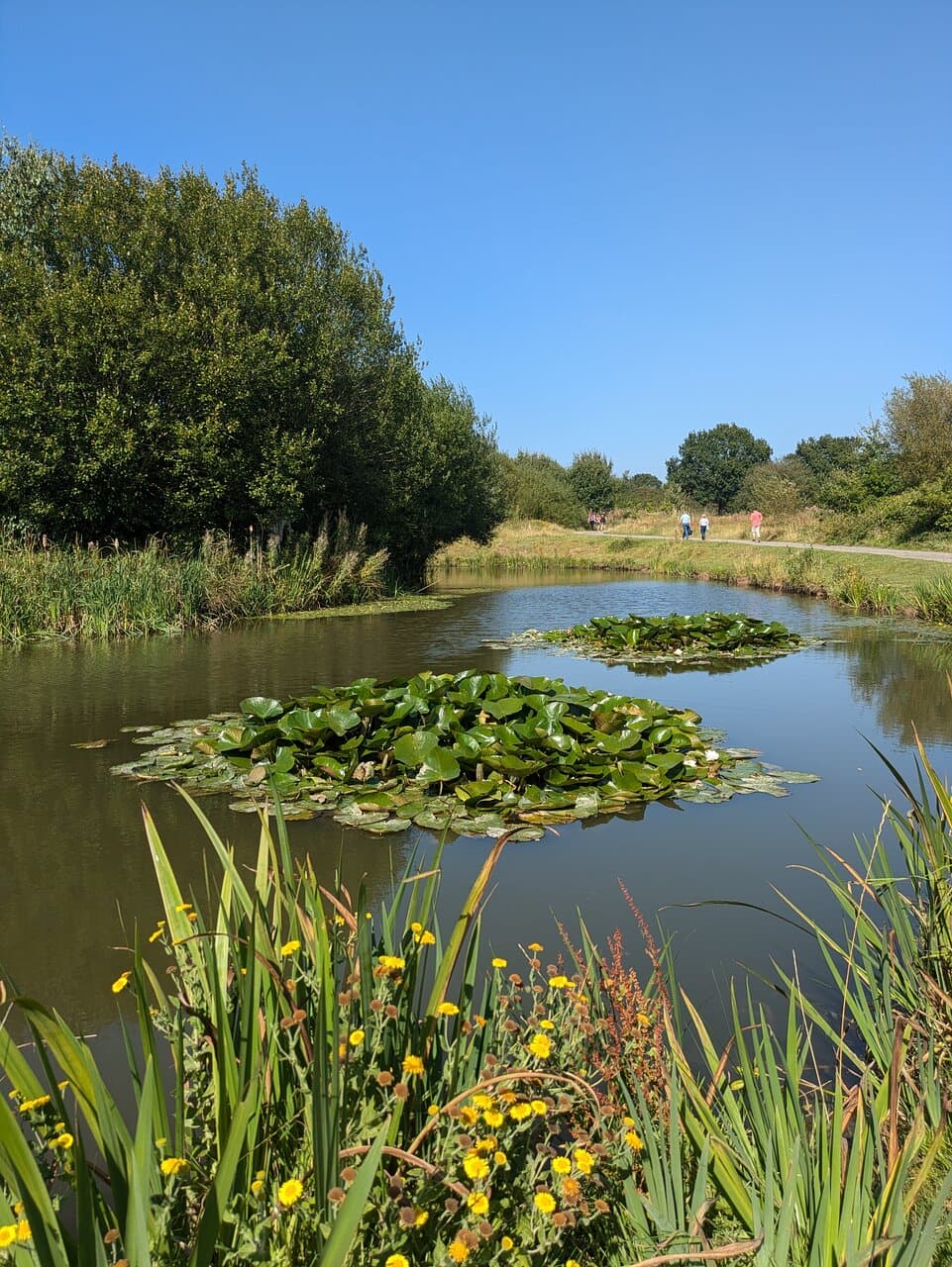 Lyme and Wood Pits Country Park
