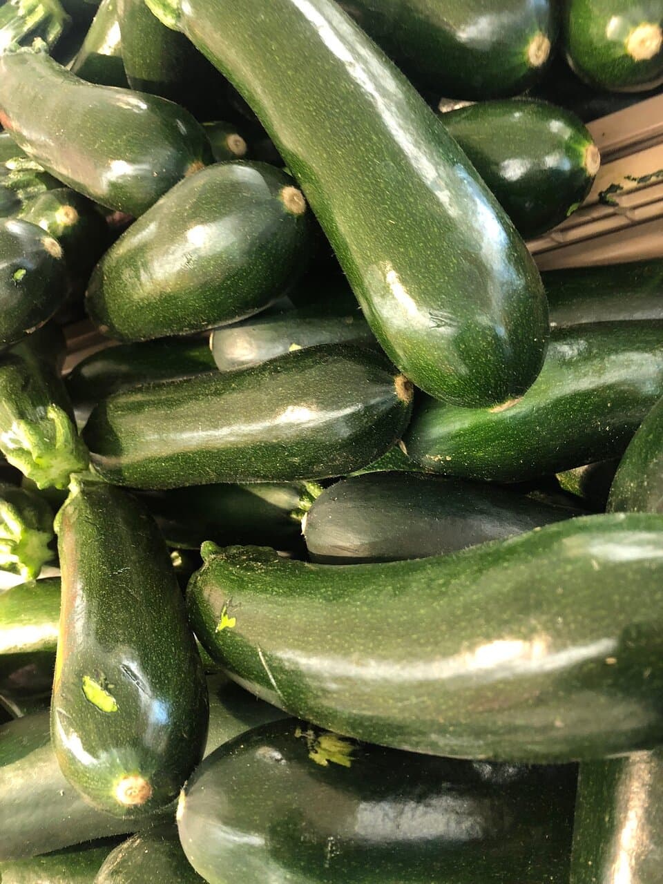 Zucchine a go’ - go’ ……