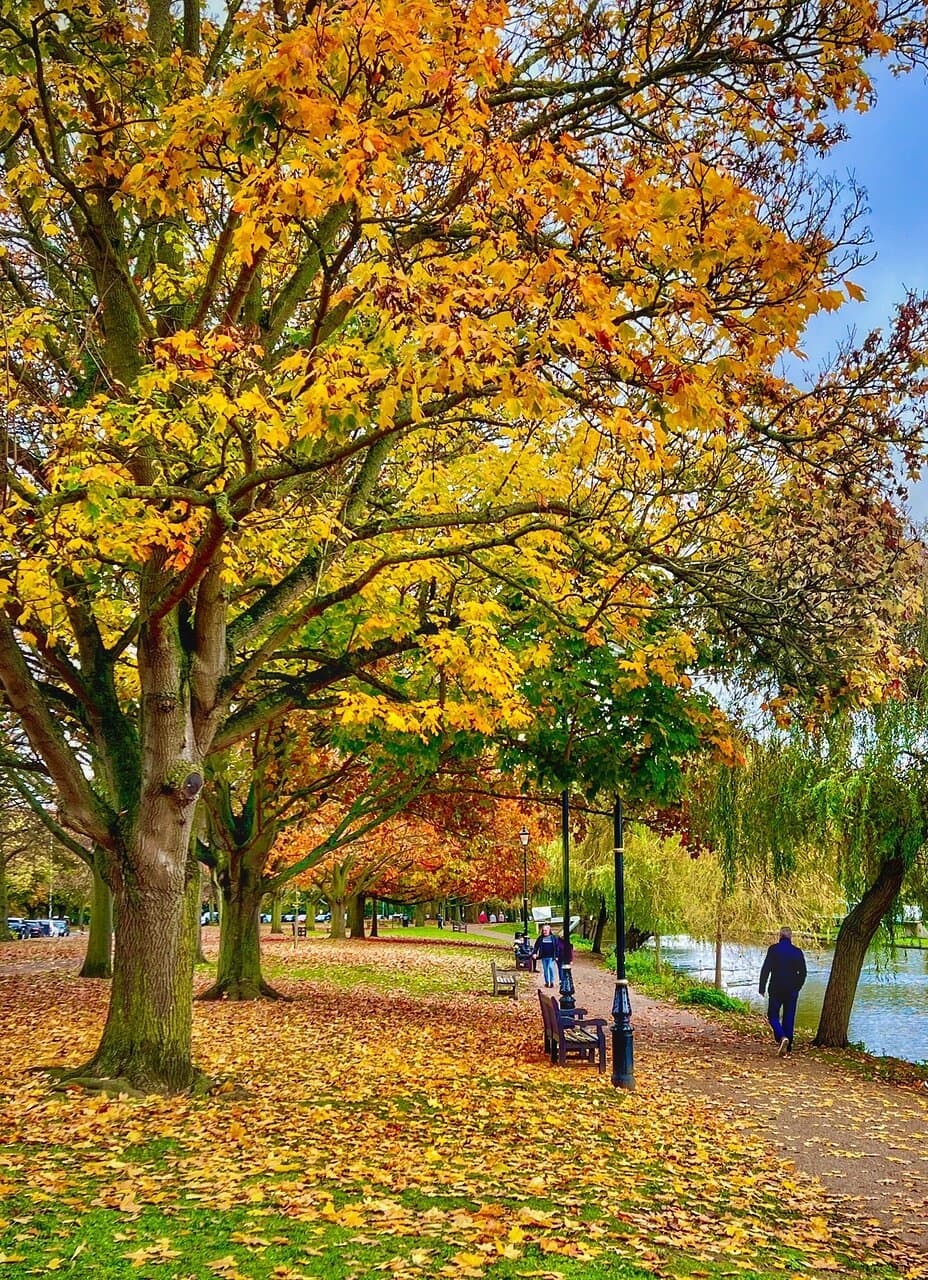 Russell Park