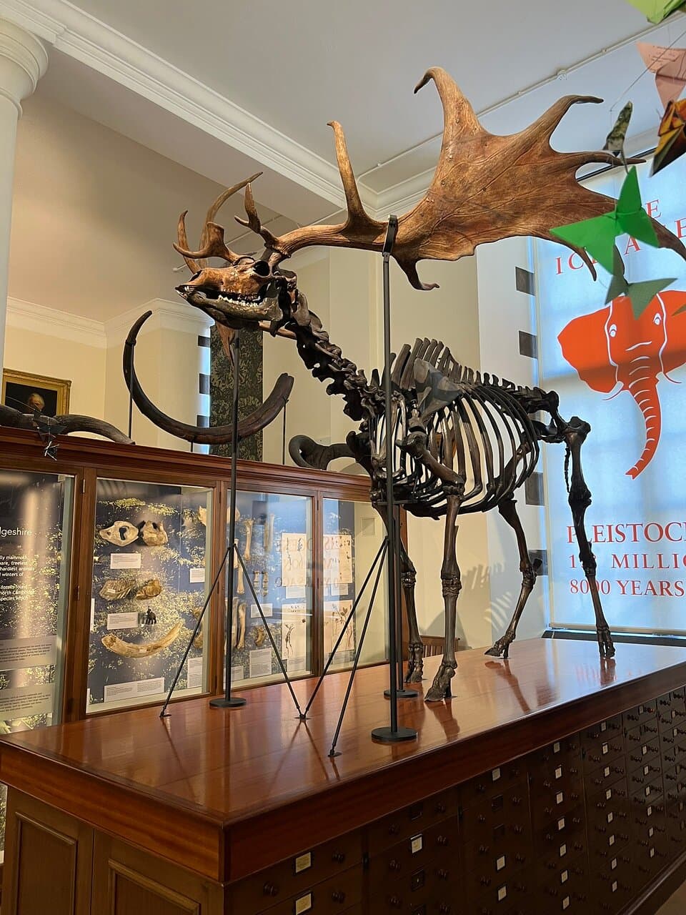 Sedgwick Museum of Earth Sciences