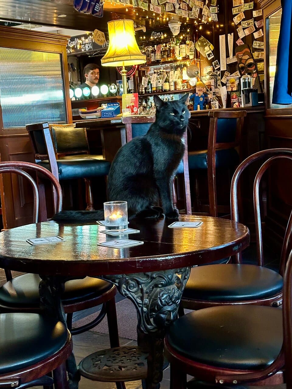 The Harbour Bar