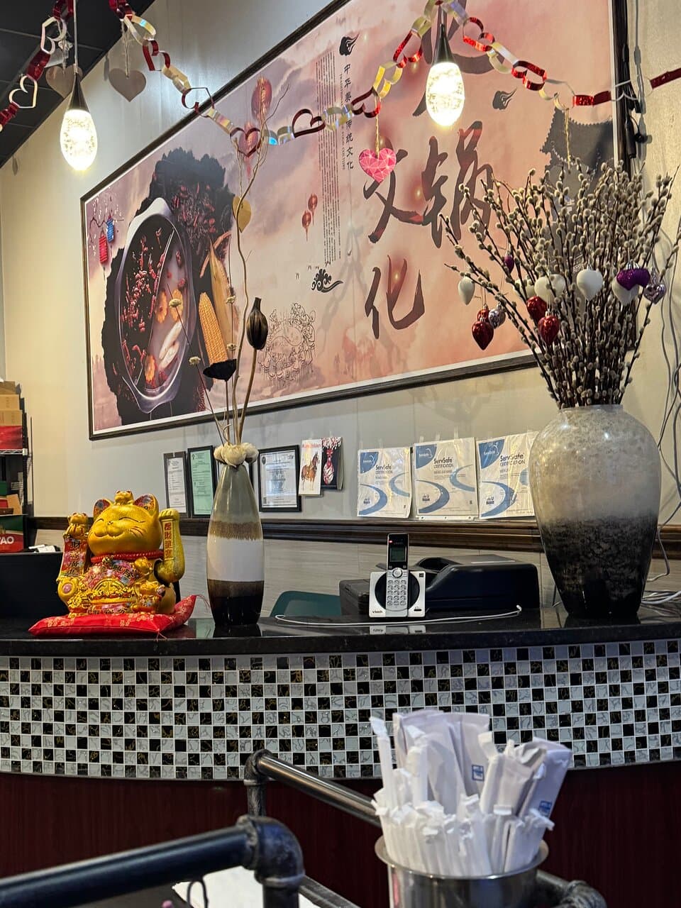 Hot Pot Restaurants