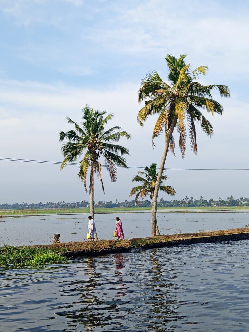 Alleppey Houseboats Kerala India