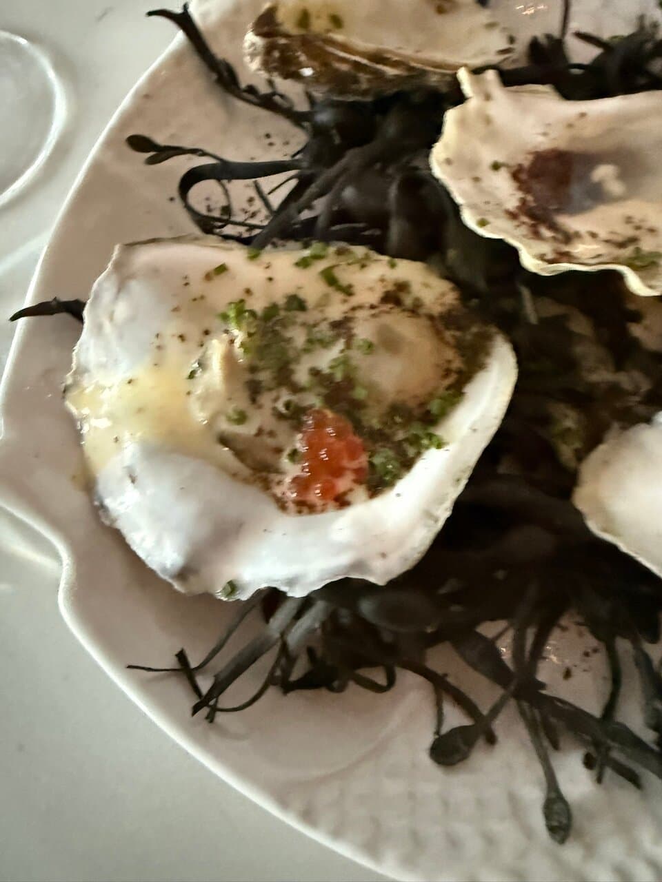 Sedalia’s Oyster & Seafood