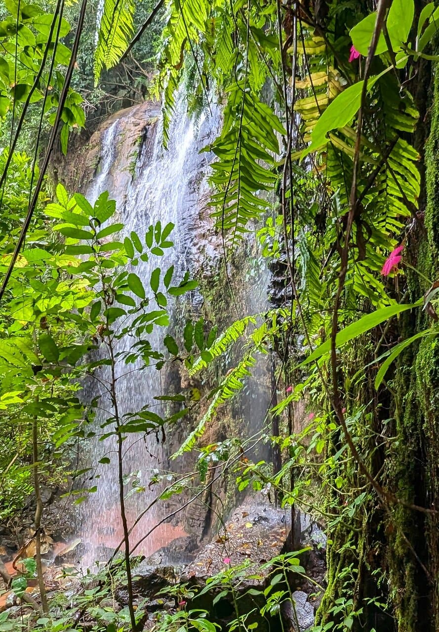 The Chitsanze Waterfall within Mwaluganje Elephant Sanctuary