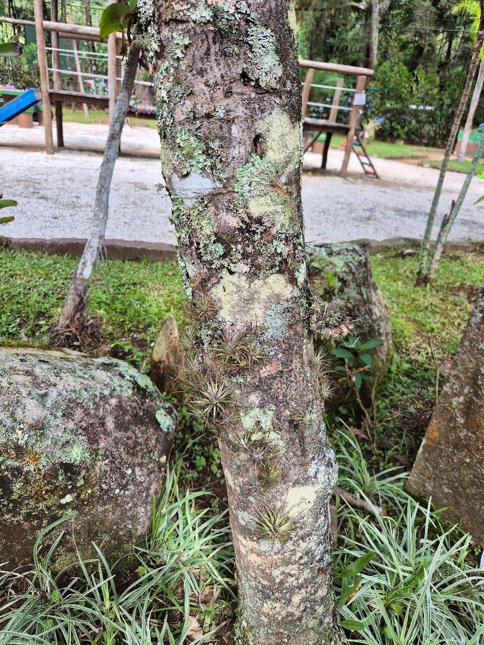 Horto Municipal de Teresópolis