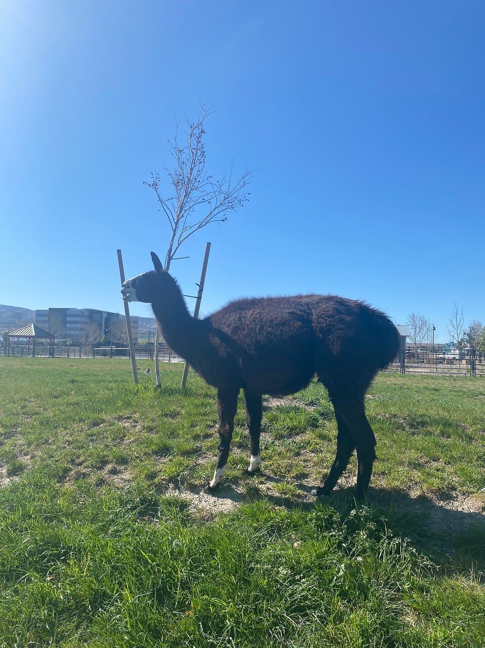 Farm Country