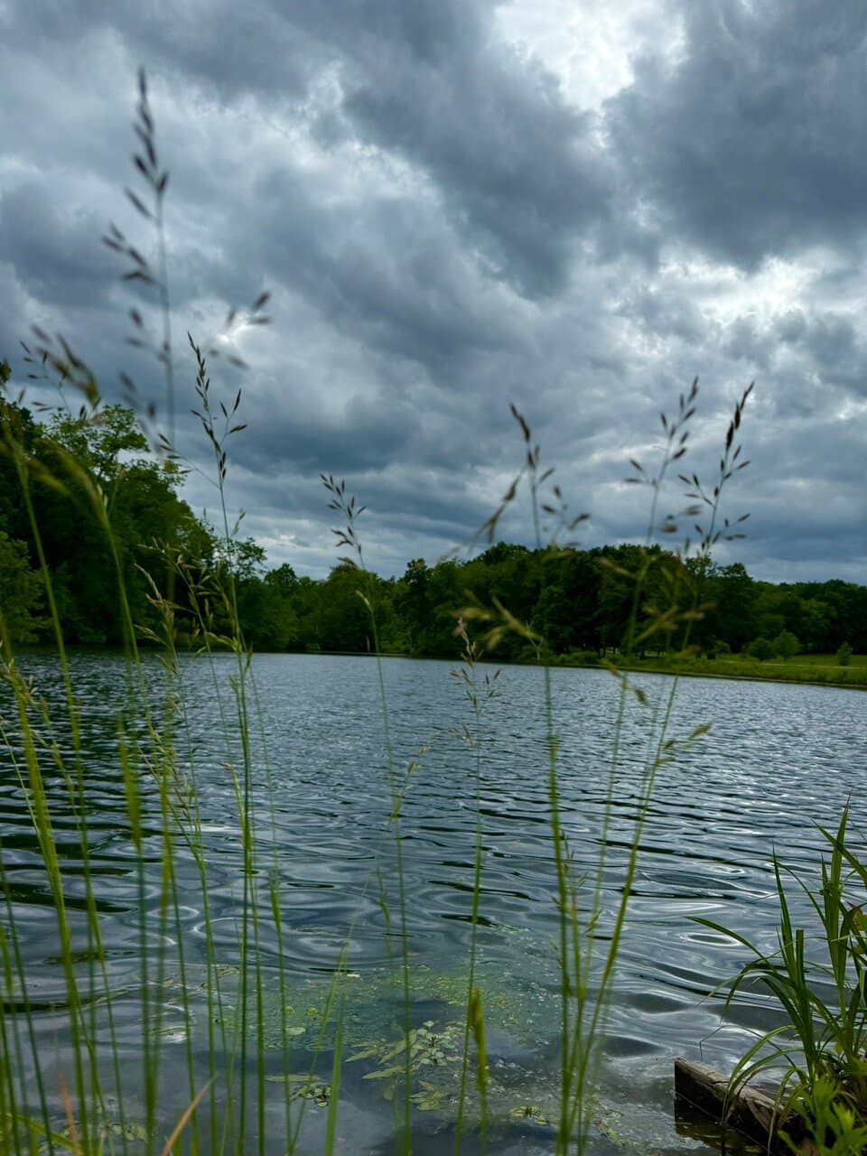 On a cloudy day.
