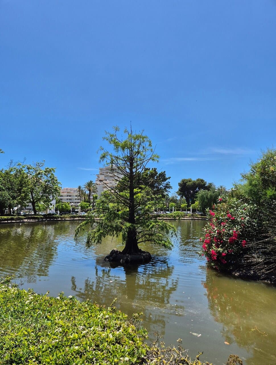 Lake Paloma