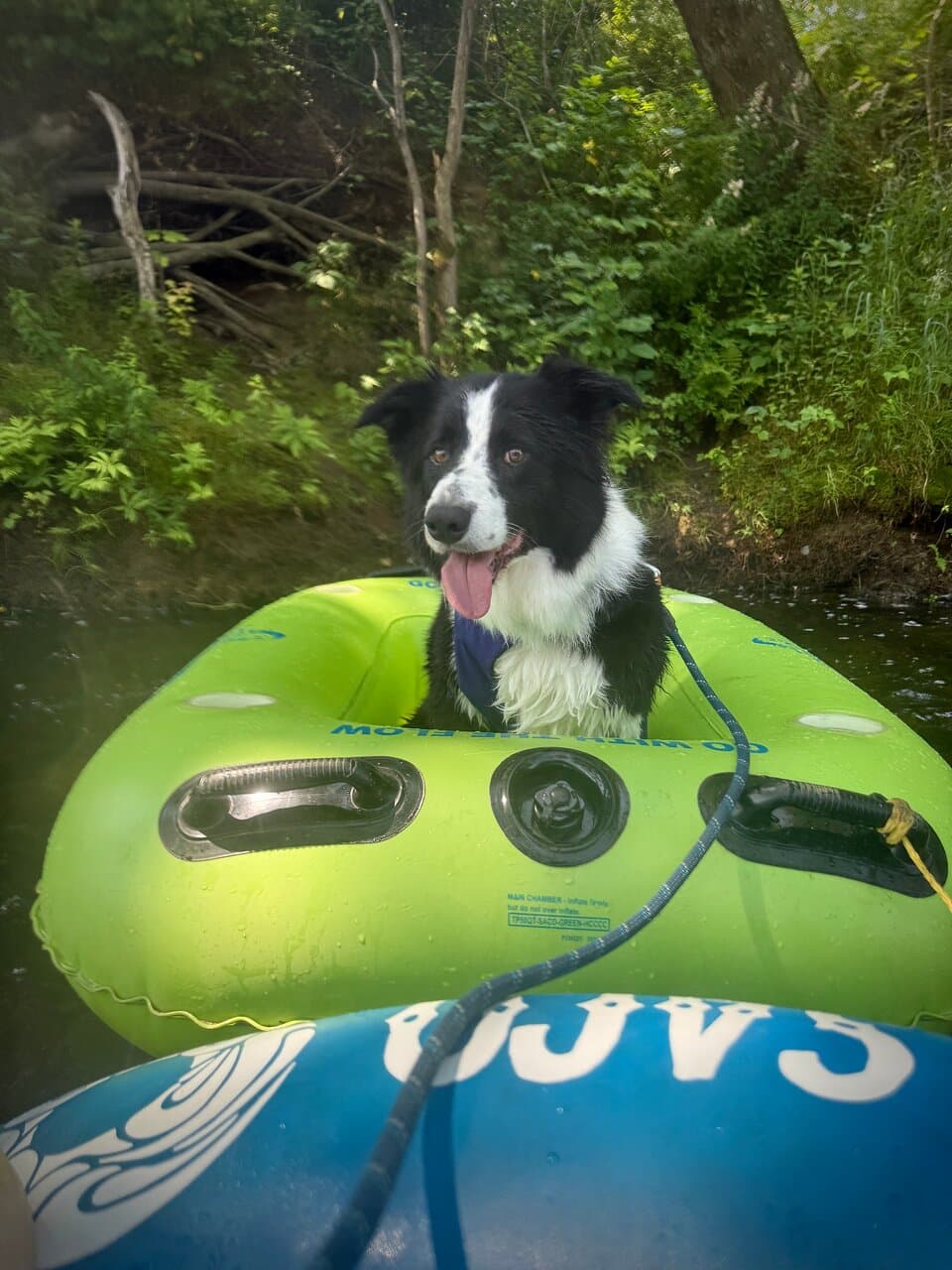 Saco River Recreation
