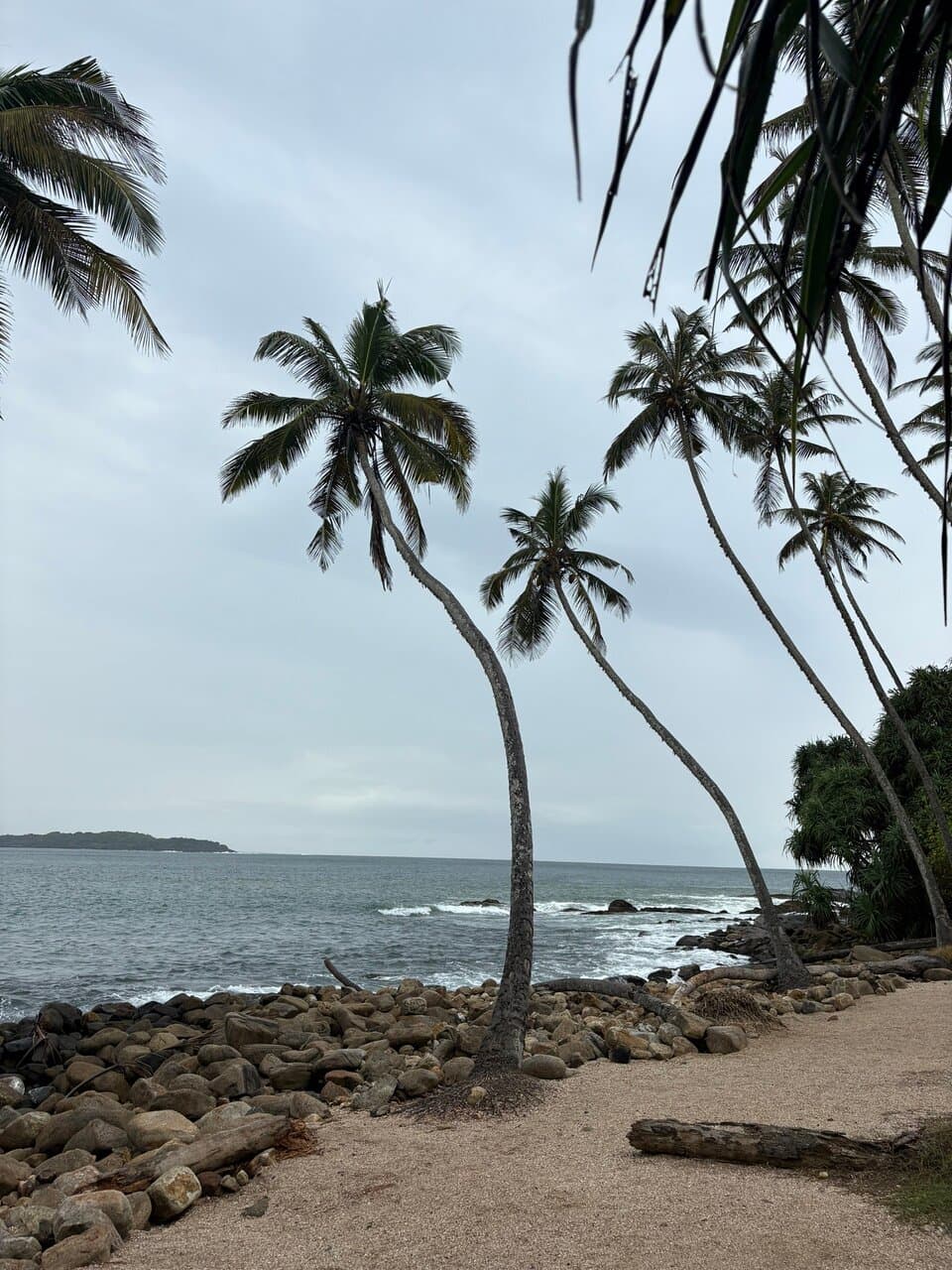 Blue Beach Island Nilwella