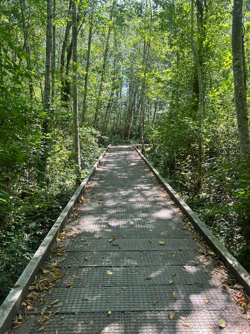 Sakai Park