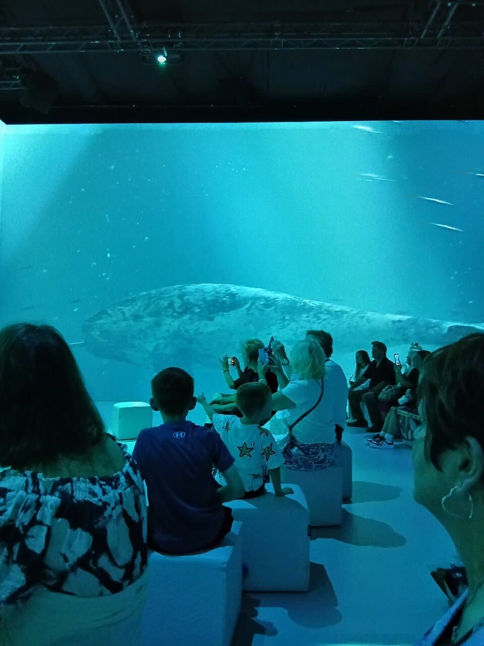 Experience the Legend of the Titanic