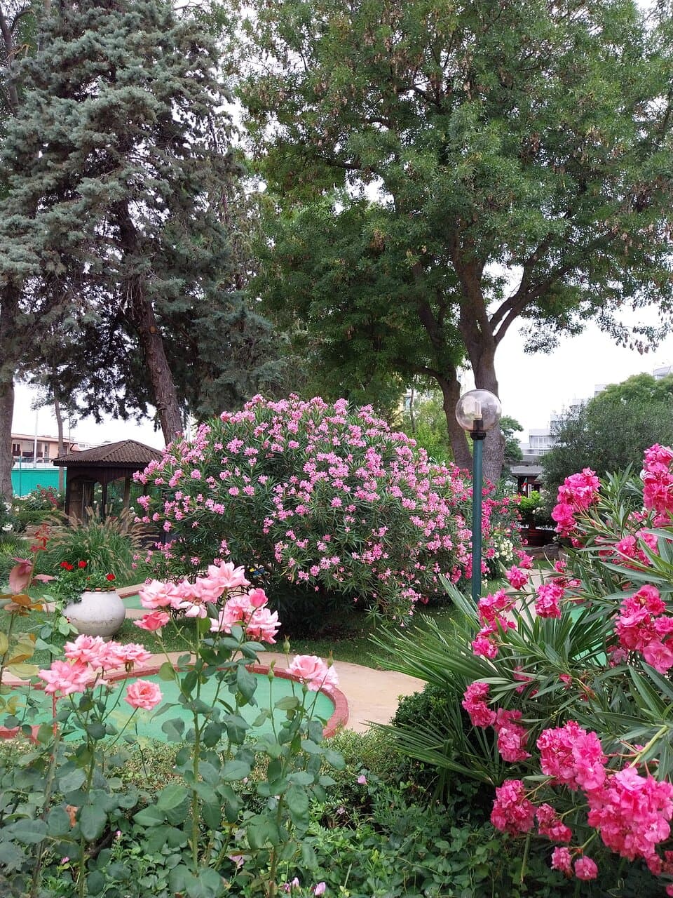 Sunny Beach Central Beach