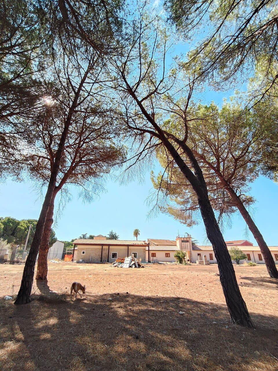 Bosco di Santo Pietro Nature Reserve