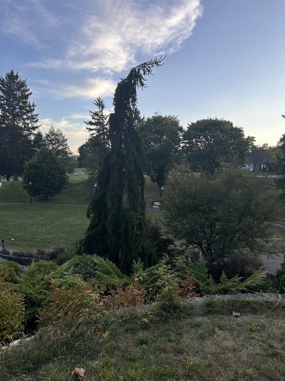 Oct. 2025 Shadyside