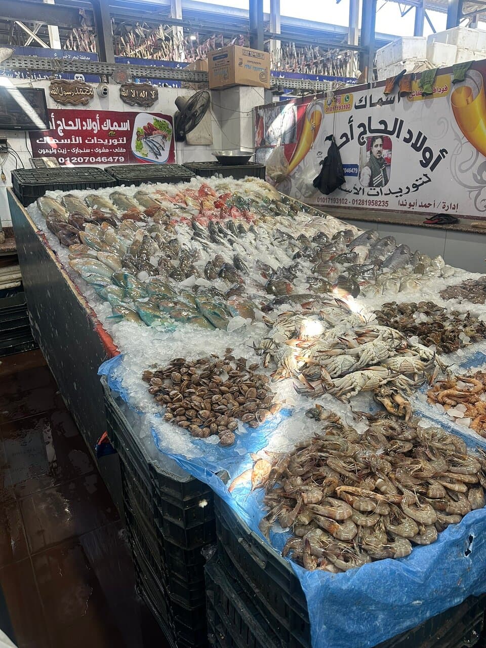 Hurghada Fish Market