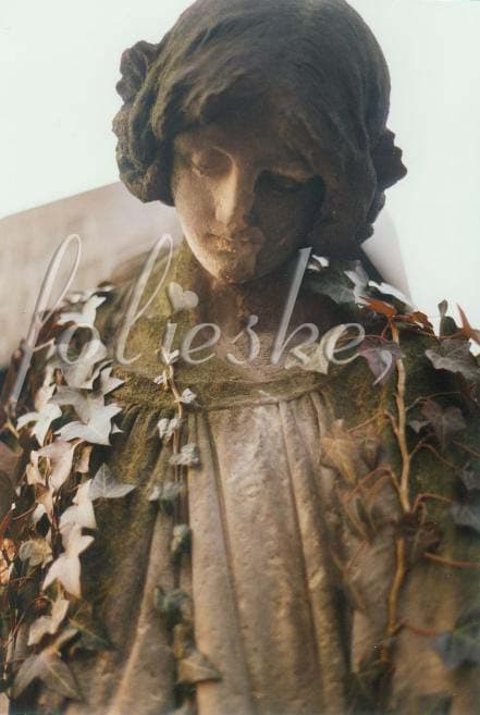 parcially taken by ivy