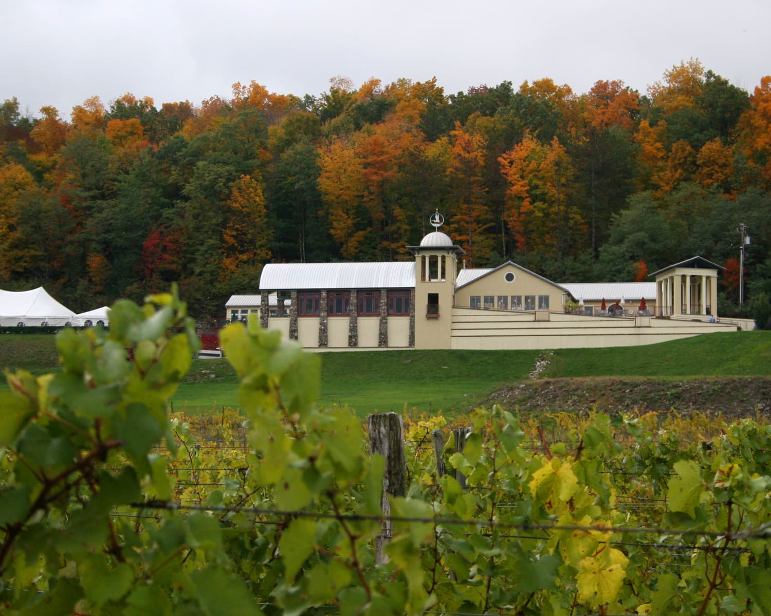 Heron Hill Winery in fall