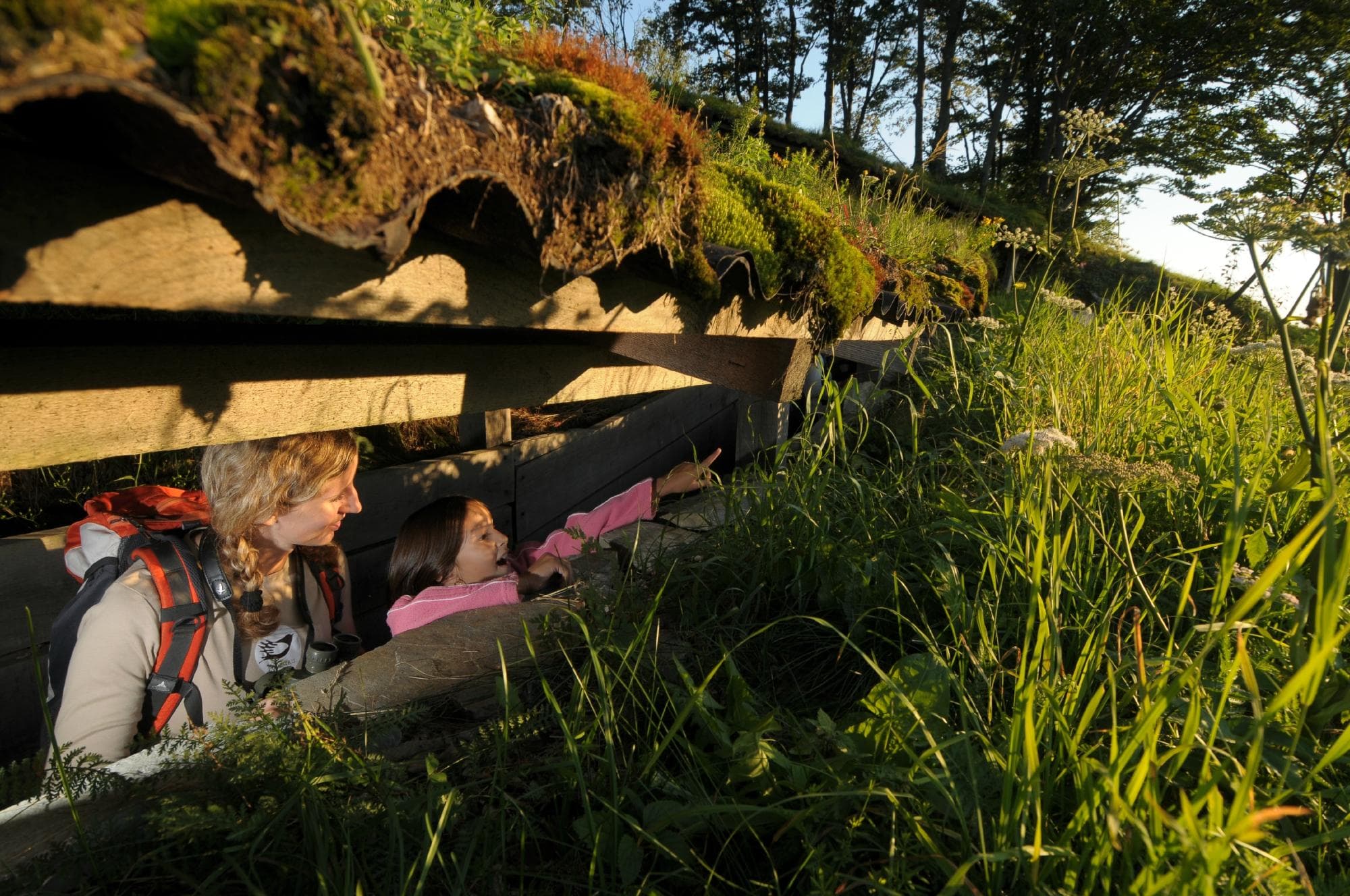 Outdoor museum Kolovrat