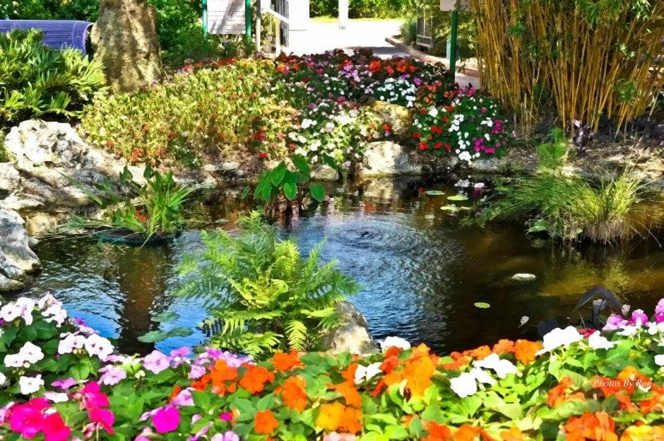 Flowers in Bloom at the Gardens
