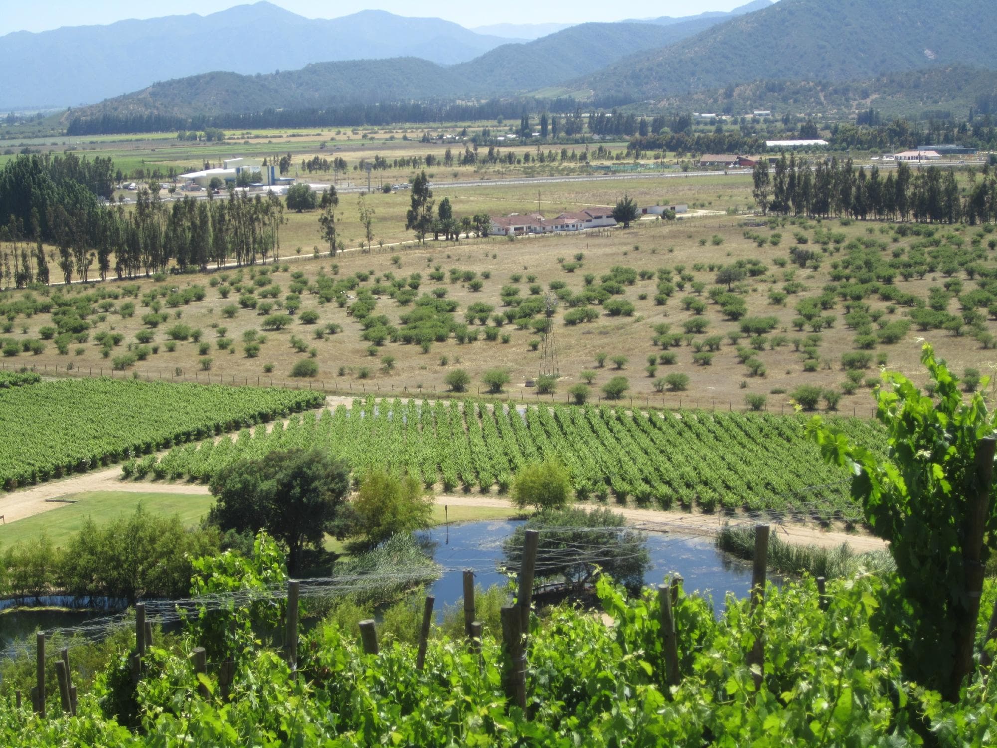 View from the terrace at Indomita Winery