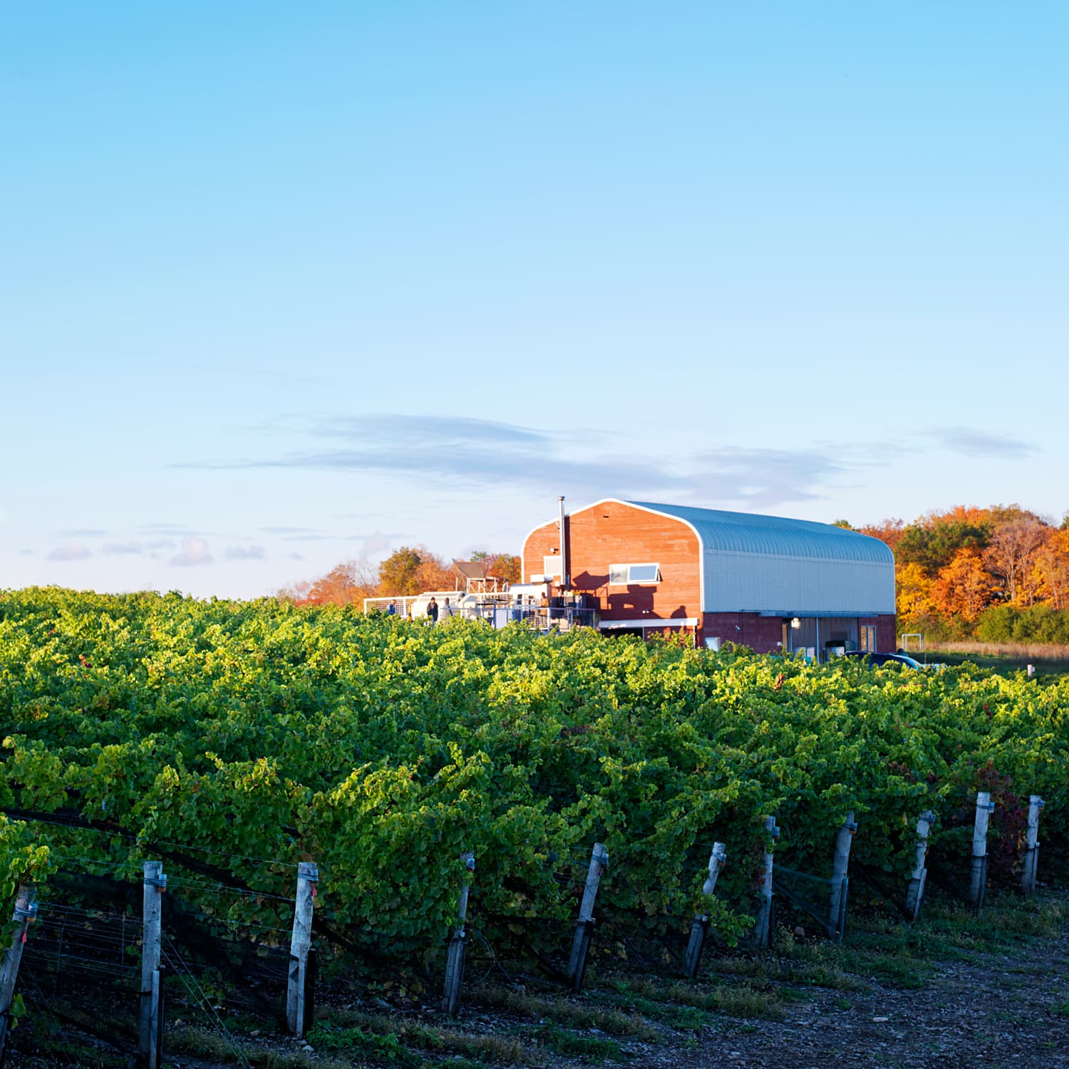 Norman Hardie Winery