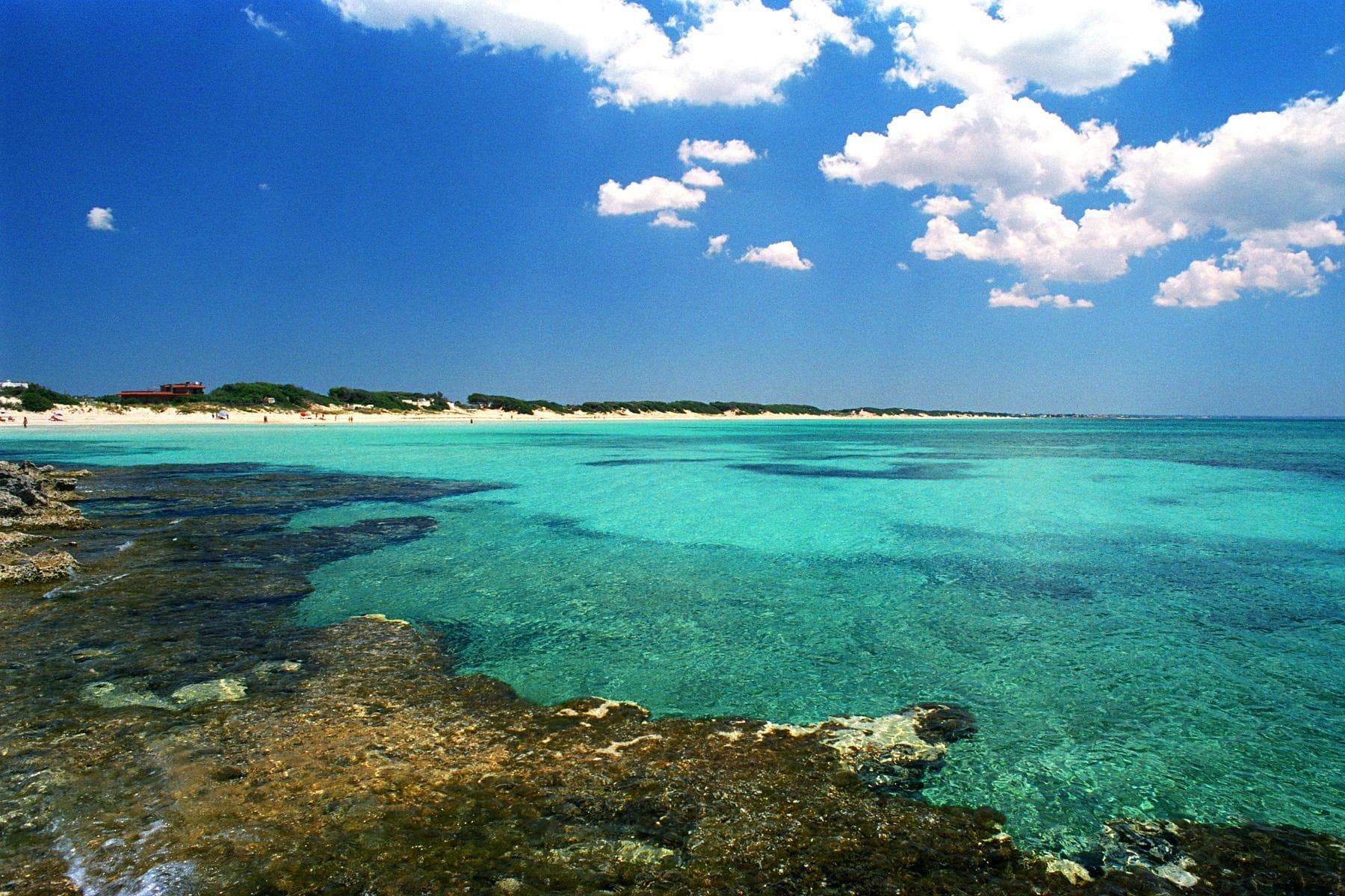 Punta Prosciutto
