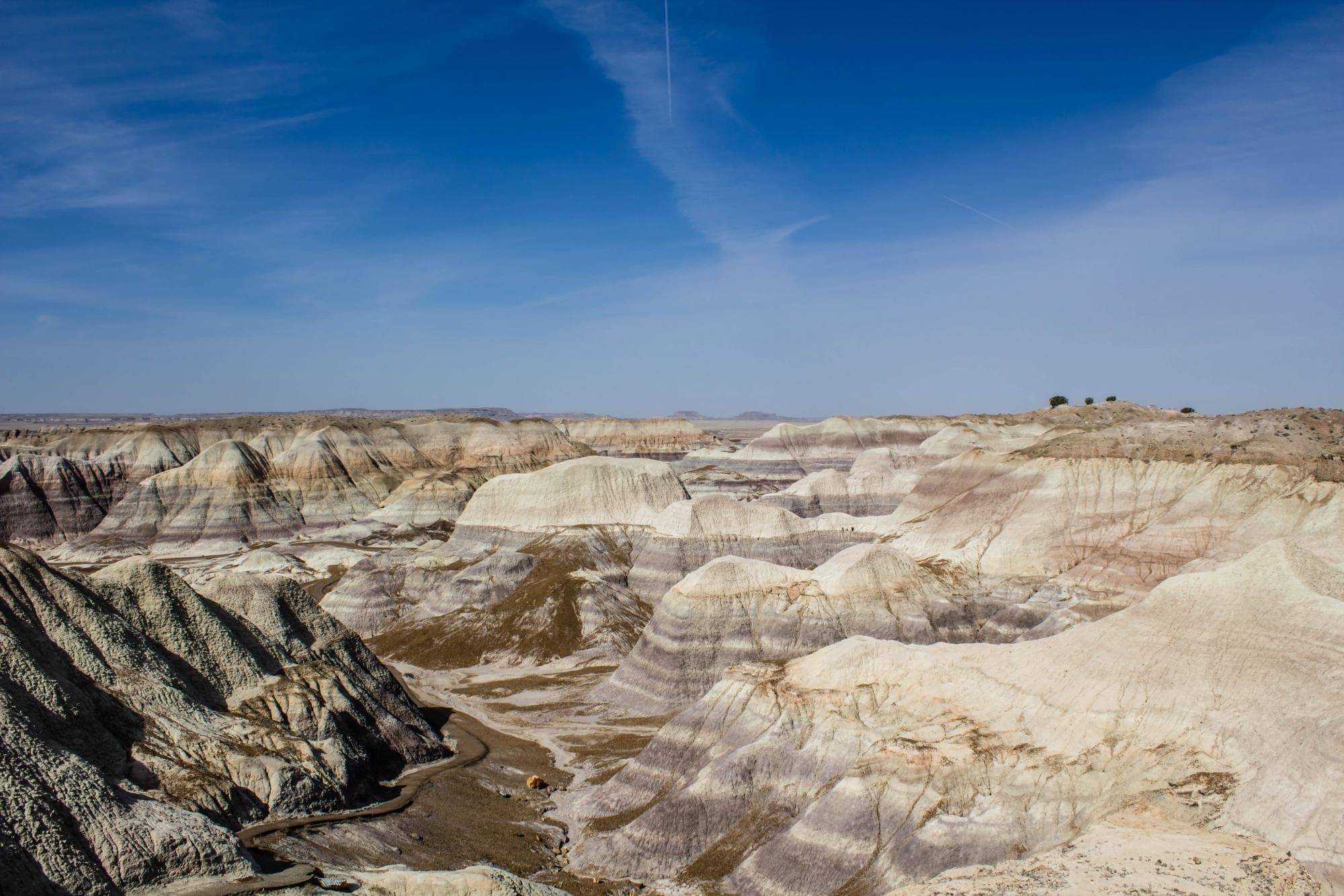 Blue Mesa Cliffs