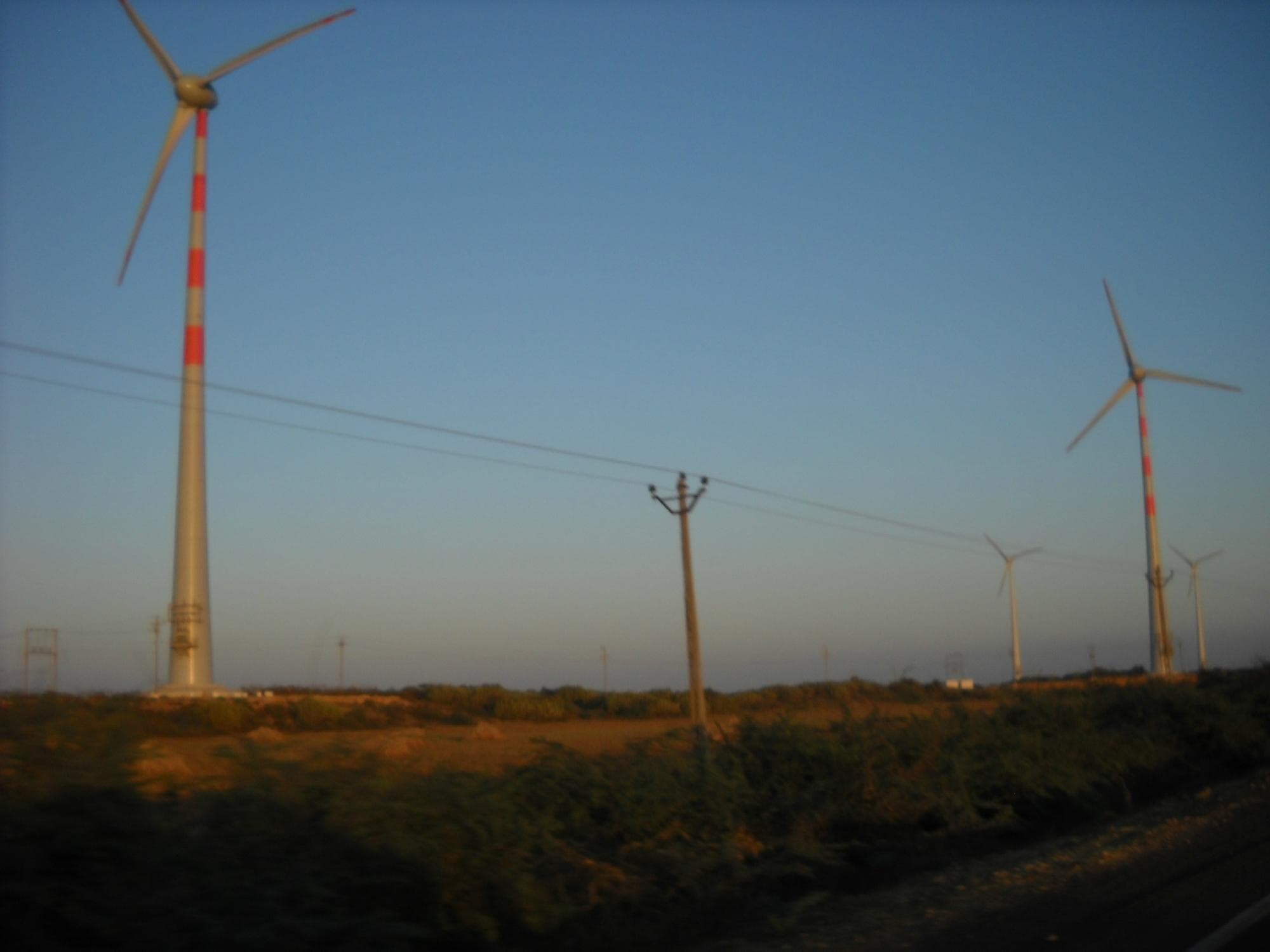 wind farm