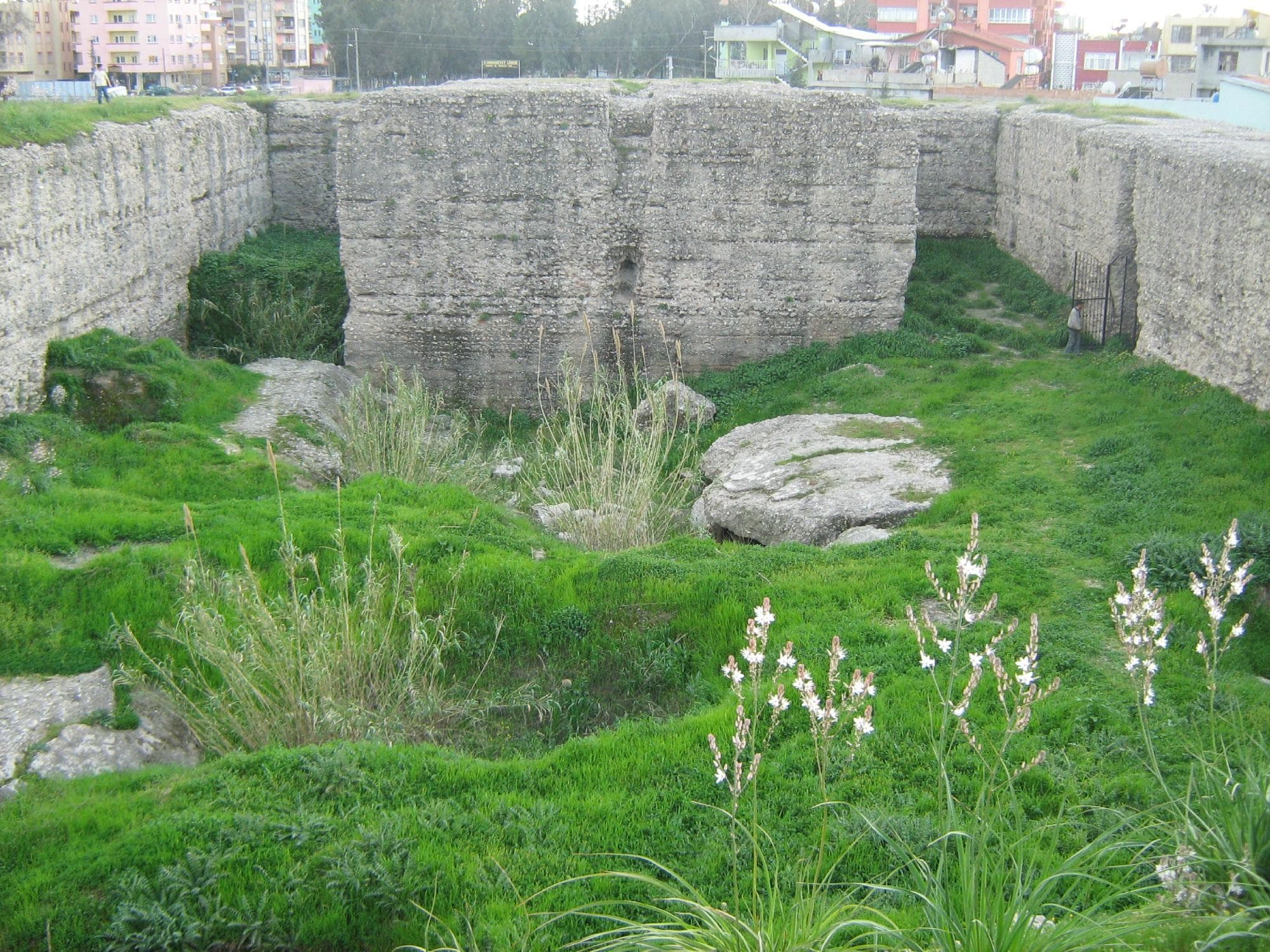 Donuktaş
